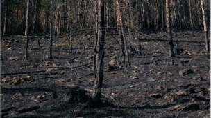 Izložba Klima i mi
