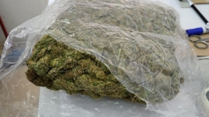 Zaplenjen 71 kg marihuane