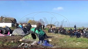 Privedeno više osoba