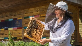 Podizanje svesti o značaju pčela