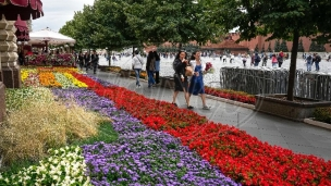 Festival cveća