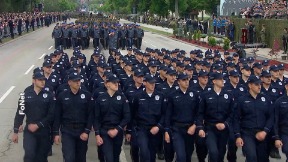 Domaća neprskana mafija