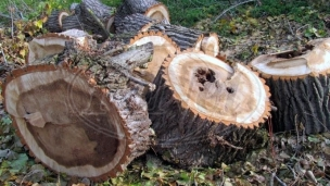 Ogrev manastiru Devič