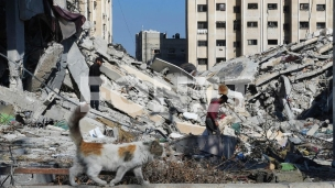 Stradalo skoro 26.500 ljudi