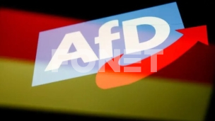 Mladi AfD ekstremisti