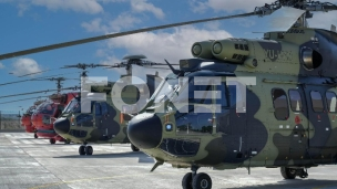 Dan helikopterskih jedinica 