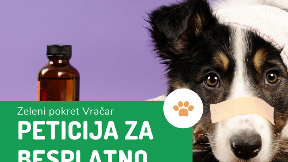Besplatno lečenje pasa