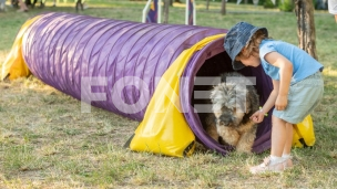 Festival "Ulični psi"