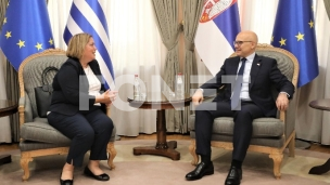 Vučević i Levanti o rezoluciji