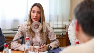 Da sve bude po EU standardima 