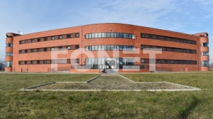 Smrt u Padinskoj skeli