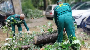 Intervencije na 264 lokacija
