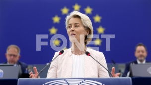 Fon der Lajen pred poslanicima