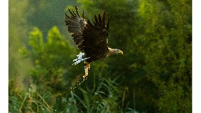 Izložba “EkOko” u Pekingu