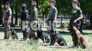 Obuka pasa za otkrivanje mina 