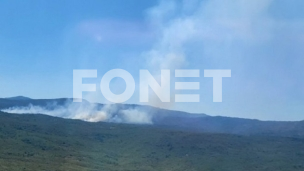 Novi požar na Tjentištu