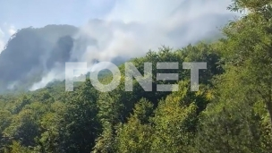Požar na obroncima Zelengore 