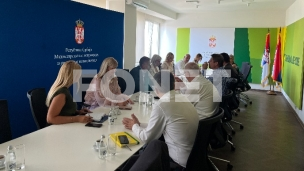 Moguće rešenje za Koceljevu