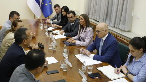 Privlačenje investicija i rast