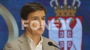 Brnabić: Predlog je besmislen