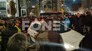 Vučićeve falange 