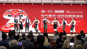 Konferencija Kineza u Srbiji