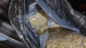 Zaplena kokaina i marihuane