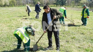 Zasađeno 100 sadnica