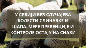 Četiri žarišta u Mađarskoj
