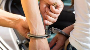 Udario policajca