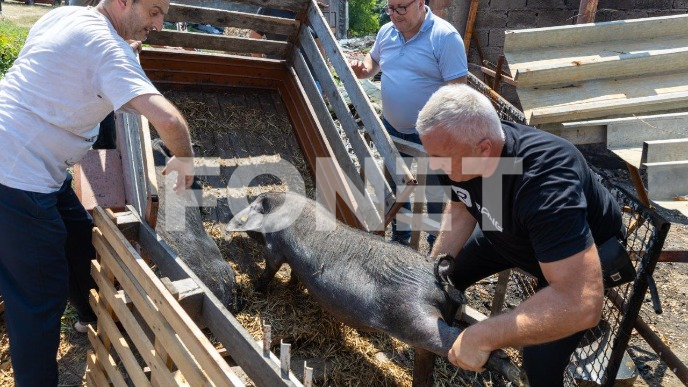 Pomoć oštećenim gazdinstvima