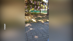 Sutra ponavljanje izložbe