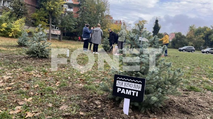 Kod Štranda 16 stabala  Kod Štranda 16 stabala
