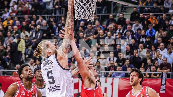 Partizan izgubio od Halopela Partizan izgubio od Halopela