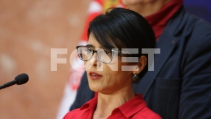 Hitnost usvanja zakona 