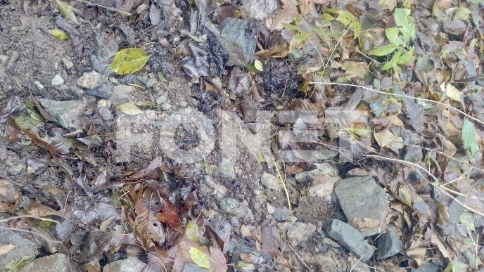 Detonatori kod Leposavića 