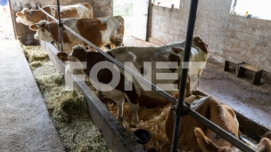 Interesovanje za IPARD III