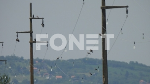 Obuka u pretraživanju terena