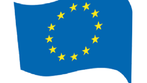 Pogrešna i štetna odluka 