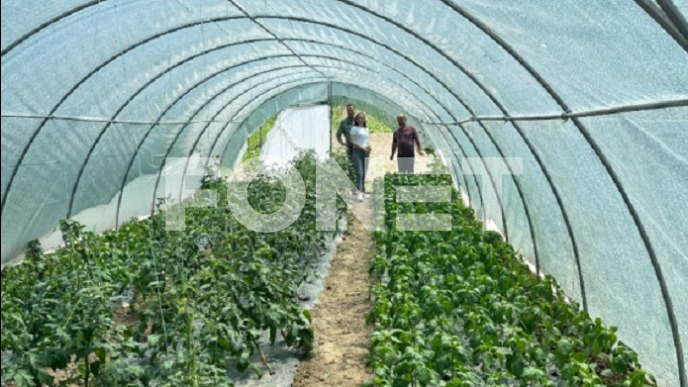 Veliki uspesi u ovoj godini