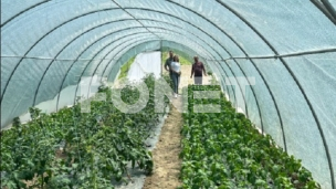 Veliki uspesi u ovoj godini