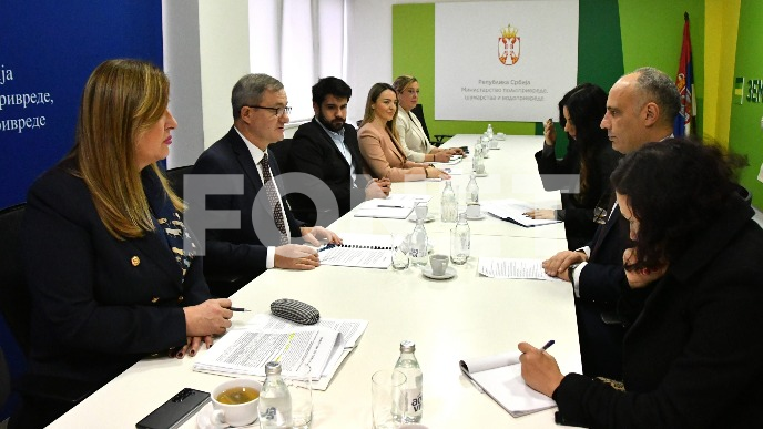 EGIPAT ZA UVOZ ŽITARICA 