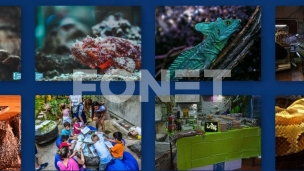 Apel organizacije JavAk