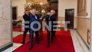 Badnjak kod predsednika, u SNS