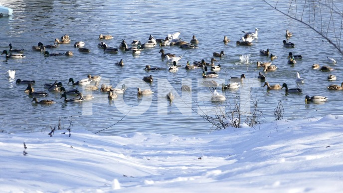 Sunčano, do pet stepeni