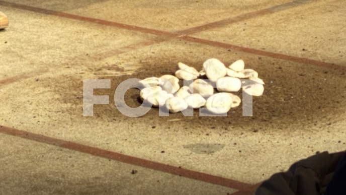 "Moja zemlja" u CZKD