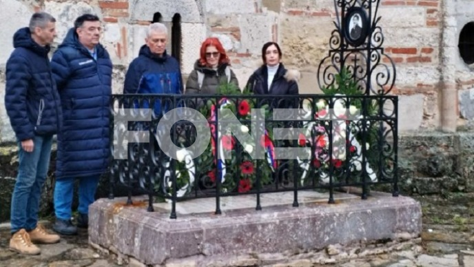 Počast Dimitriju Davidoviću