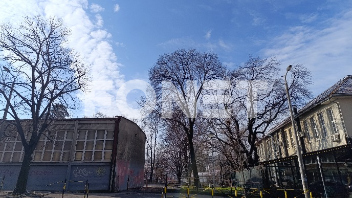 Oblačno pa ponovo sneg