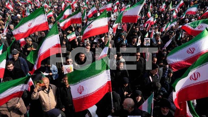 Hamnei: Proterajte Amerikance