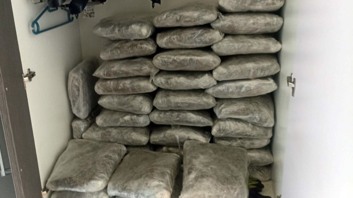 Zaplena 77 kg marihuane